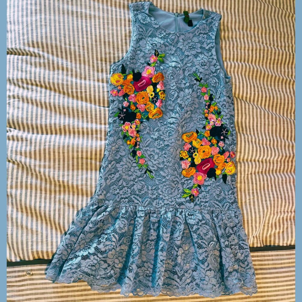 Darian Sky Blue Lace & Floral Embroidered Peplum Dress – Size 8
